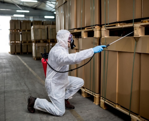 Professional spraying pest poison in warehouse