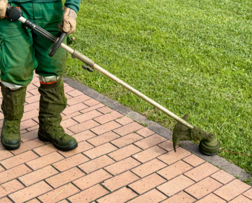 Gardener using trimmer to maintain lawn edge near brick pathway